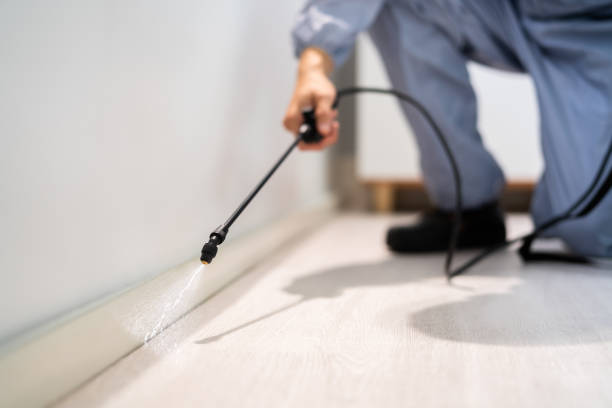 Professional exterminator conducting IPM assessment in Sylvania
